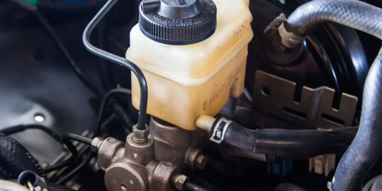 A reservoir and hoses underneath the hood of a vehicle.