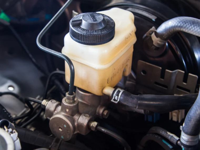 A reservoir and hoses underneath the hood of a vehicle.