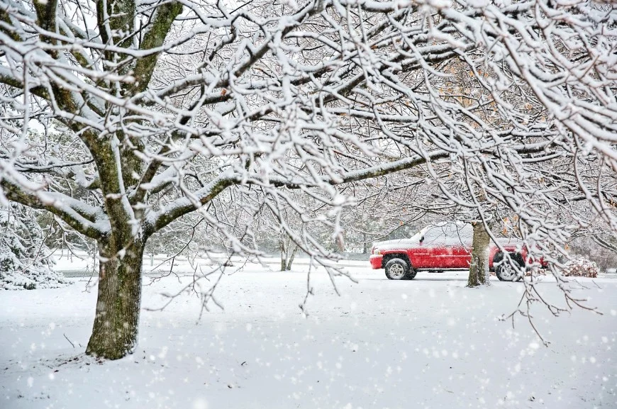 Snow-covered trees with bare branches in the foreground frame a red SUV parked in the background, highlighting the importance of engine care Idaho drivers need for winter travel.