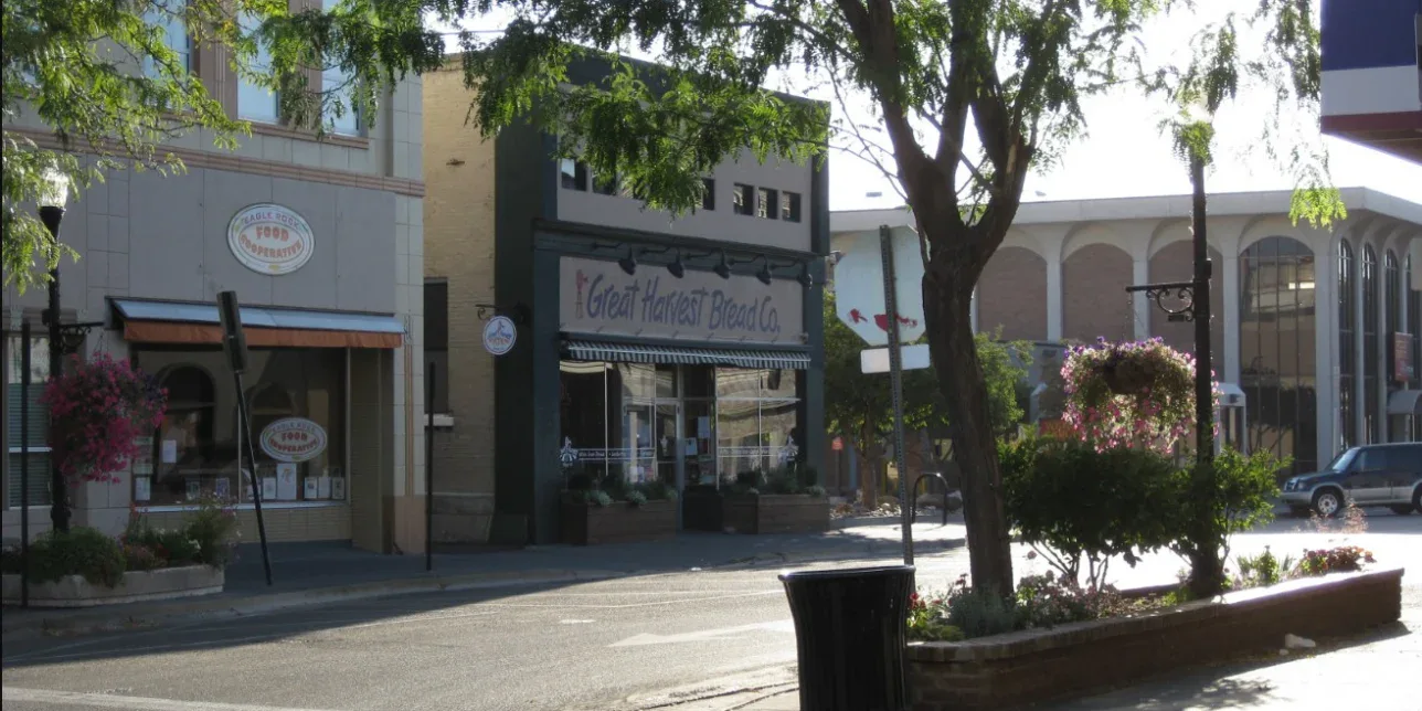 A quiet downtown street in Idaho Falls with shops like Great Harvest Bread Co., trees, flowers, and sunlight casting shadows on the pavement—perfect for a stroll after an oil change at a nearby engine service shop.