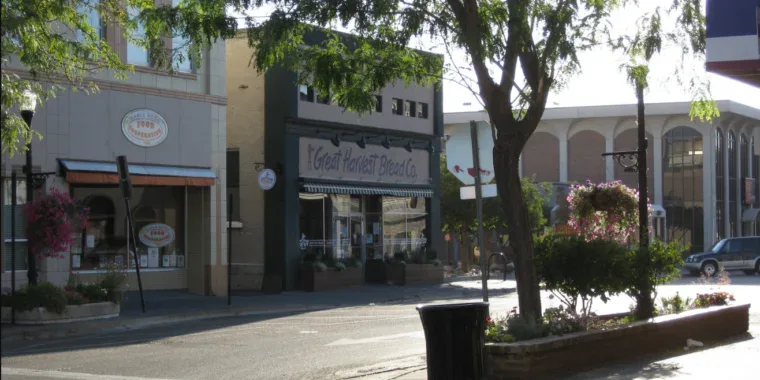 A quiet downtown street in Idaho Falls with shops like Great Harvest Bread Co., trees, flowers, and sunlight casting shadows on the pavement—perfect for a stroll after an oil change at a nearby engine service shop.