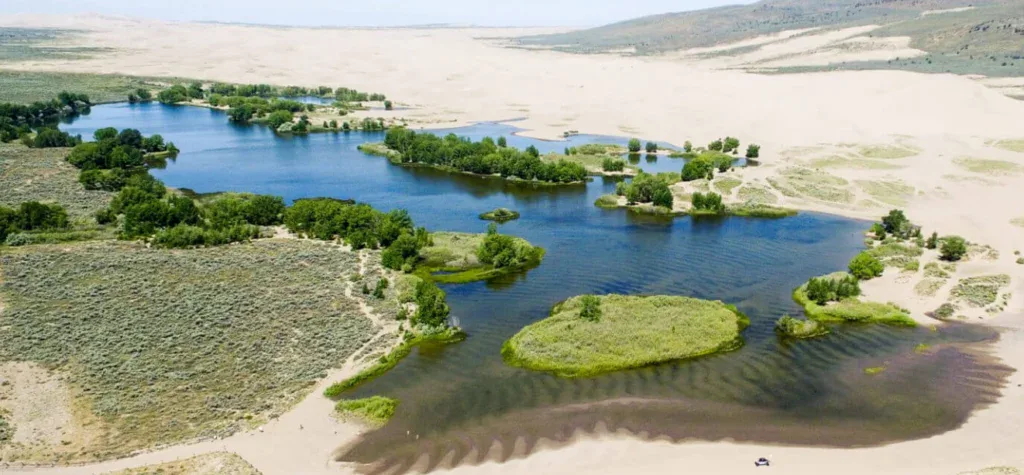 Aerial view of a desert oasis with several bodies of water, green vegetation, and sandy dunes—reminding you that just like an oasis keeps life thriving, your vehicle needs its oil changed regularly for smooth journeys.
