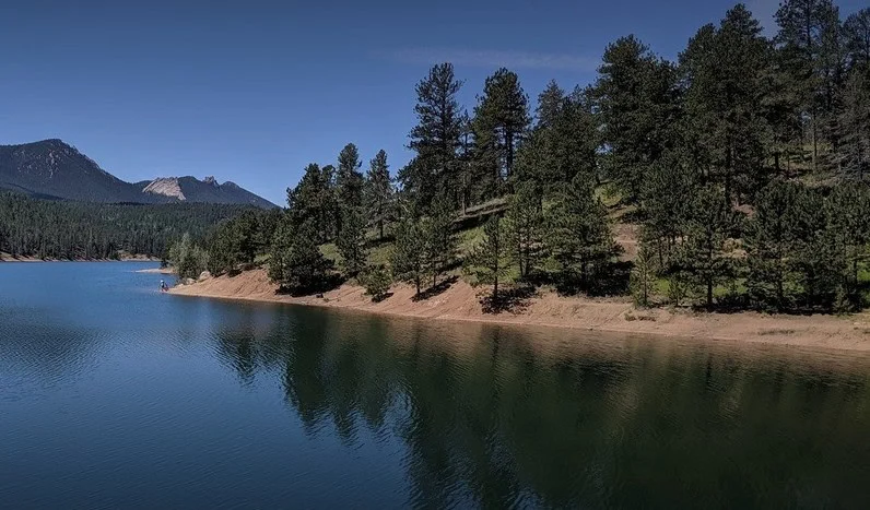 A calm lake bordered by dense pine trees with mountains in the background under a clear blue sky—an inviting scene near Woodland Park engine trails where adventurers discuss their regular oil change routines.