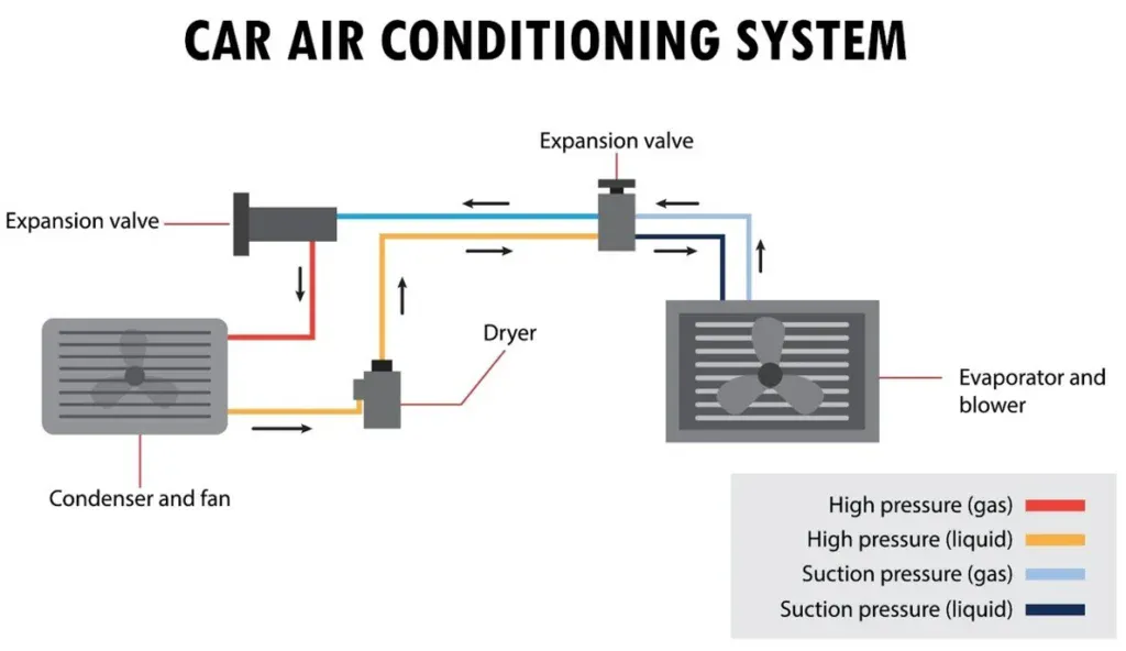 Diagram of a car air conditioning system for vehicle AC care, showing refrigerant flow through the condenser, dryer, expansion valve, and evaporator with labeled pressure and state changes—expertly illustrated by Jerome at Grease Monkey.
