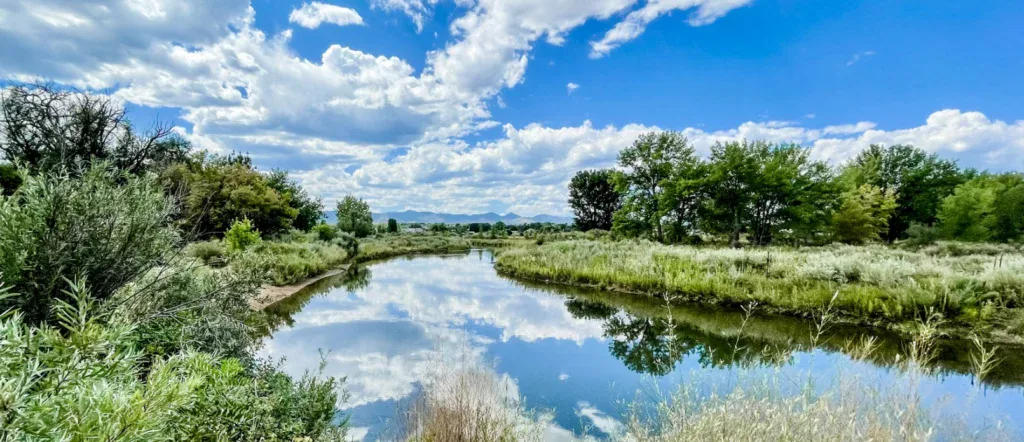 A calm river reflects trees, sky, and clouds under bright daylight, with green vegetation along the banks and distant mountains in the background—peaceful as a Littleton engine after regular maintenance.
