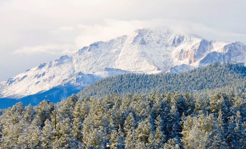 Snow-covered mountain with a dense forest of evergreen trees in the foreground under a partly cloudy sky—just like keeping your Woodland Park engine running smoothly with a regular oil change.