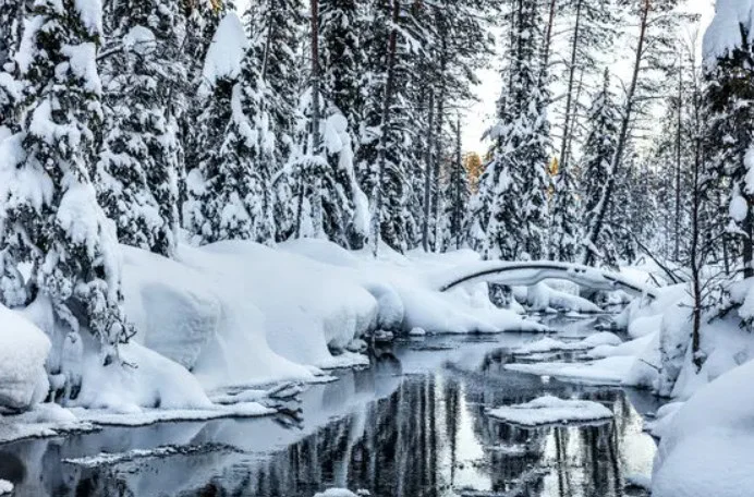 A snow-covered forest near Idaho Falls surrounds a partially frozen stream, with snow-laden trees reflected in the water under a cloudy sky—a tranquil view often enjoyed by drivers escaping winter’s chill with their vehicle air conditioning.