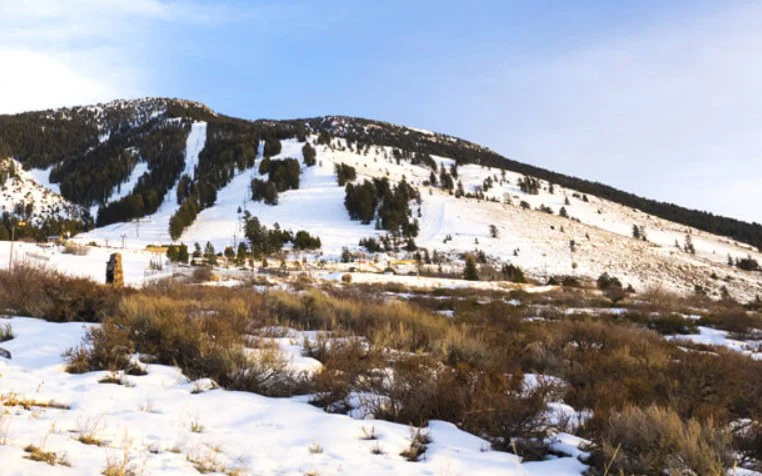 A snowy mountain slope with scattered trees and brush under a clear sky, much like the wintry scenes near Pocatello Idaho—reminding you that regular service for your vehicle air conditioning ensures comfort year-round.