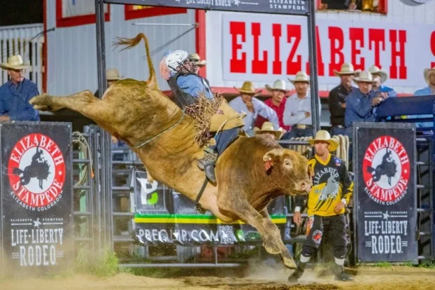 A bull rider clings to a bucking bull while competing at a rodeo event in Elizabeth, Colorado, with spectators and rodeo officials watching in the background.