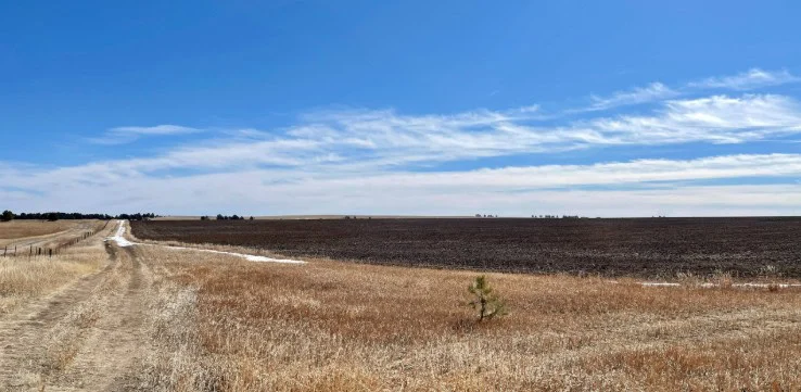 A dirt road runs through a dry, grassy field next to a plowed, barren plot under a clear blue sky with wispy clouds—a classic scene near Elizabeth, Colorado where ranch vehicles often travel, occasionally facing farm vehicle transmission failure amid the rugged terrain.