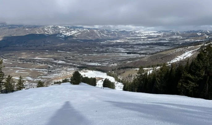 Snow-covered slope with scattered pine trees in the foreground, overlooking a wide valley and distant mountains under a cloudy sky—a serene winter scene reminiscent of Idaho’s Gate City, where Pocatello Transmission stands ready as your trusted destination for expert transmission repair.