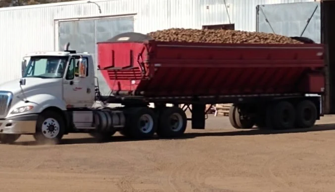 A white semi-truck with a red trailer full of potatoes is parked on a dirt lot in front of a large warehouse near Idaho Falls, ready for its next transmission check before the INL commute.