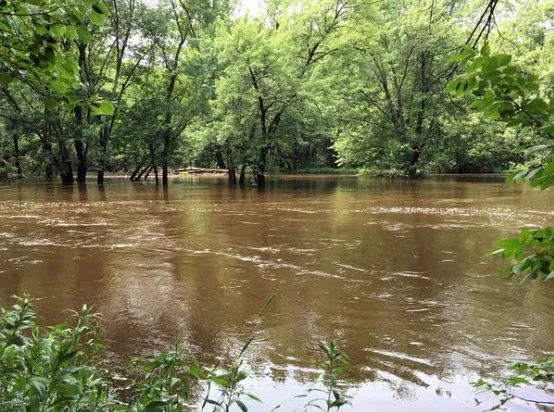 Flooded river with muddy water flowing through a forested area in Idaho Falls, partially submerging trees and vegetation along the banks—a vivid reminder of why regular vehicle maintenance, including brake system service, is essential when navigating unpredictable conditions.