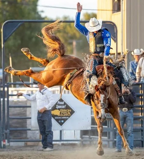 A rodeo rider in a blue shirt and white hat holds on to a bucking horse with one arm raised, while spectators and officials watch from the background at the annual event in Jerome, Idaho.