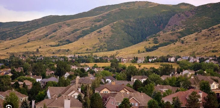 Rows of suburban houses with brown roofs are set among green trees, backed by rolling hills covered in grass and patches of forest. The sky above is partly cloudy—an inviting scene for a drive or a thoughtful moment about car maintenance in Littleton, Colorado.