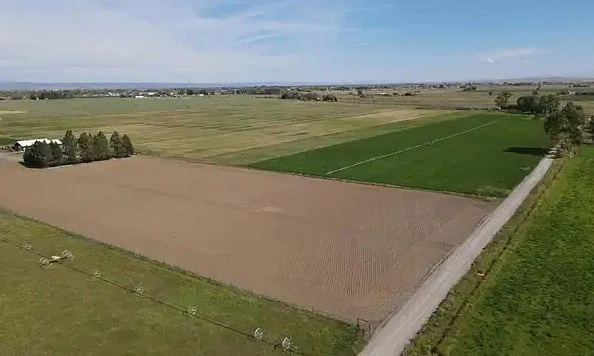 Aerial view of farmland with green and brown fields near Rexburg Idaho, a paved road running alongside, and scattered trees in the distance under a partly cloudy sky—a picturesque reminder that even in rural settings, regular car maintenance like changing your cabin air filter can make every scenic drive more enjoyable.