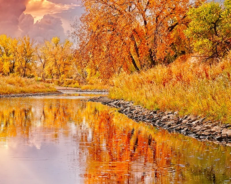 A calm river reflects the orange and yellow autumn foliage, a peaceful scene perfect for a drive after Littleton auto repair.