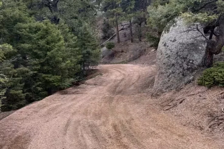 A dirt road at Elizabeth Ranch curves through a forest past a large boulder.