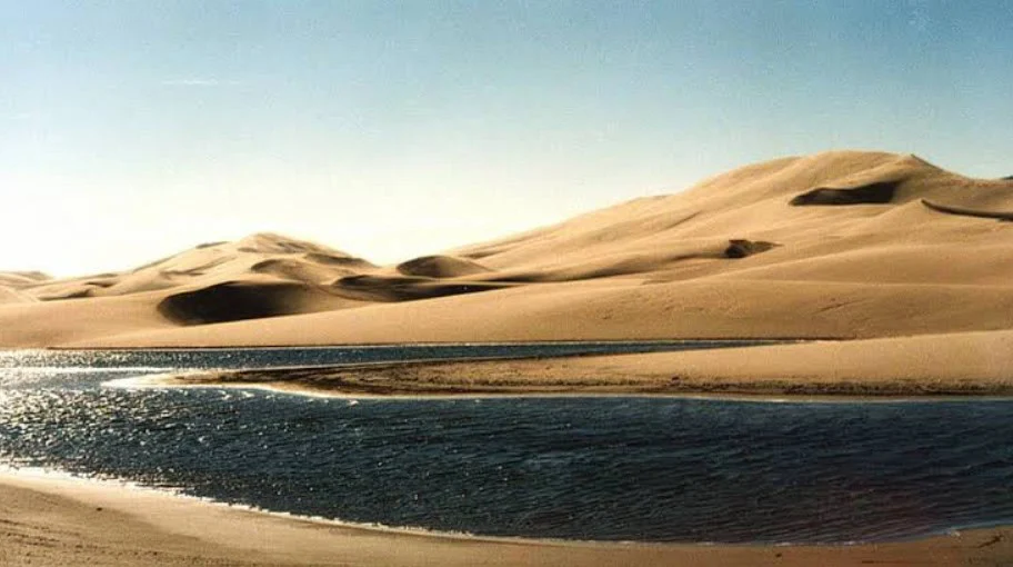 A pool of water at the base of expansive sand dunes near Rexburg, Idaho.
